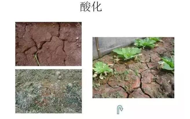 2.jpg 2.jpg