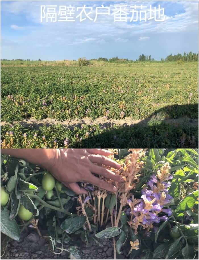 微信圖片.jpg 微信圖片.jpg