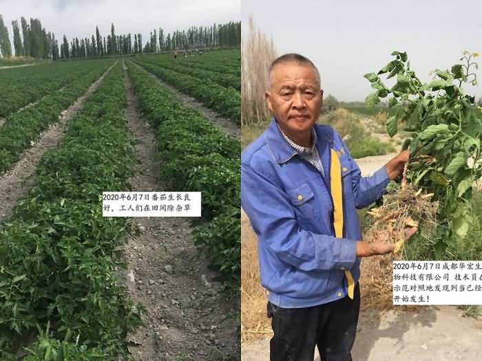 2020091015997325044121183.jpg 2020091015997325044121183.jpg