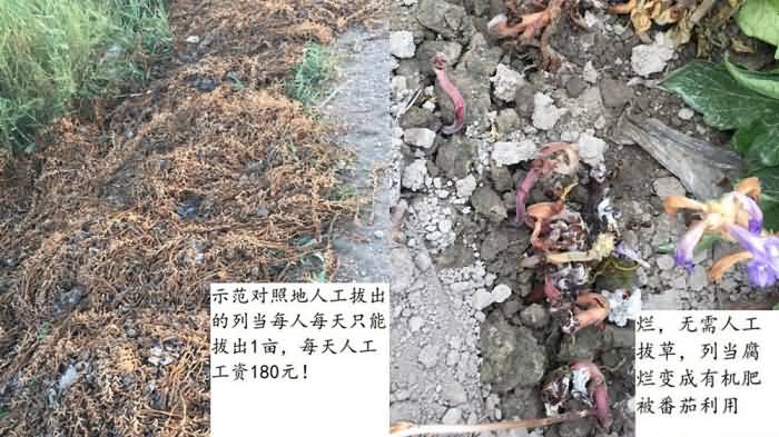 2020091015997325044121183.jpg 2020091015997325044121183.jpg