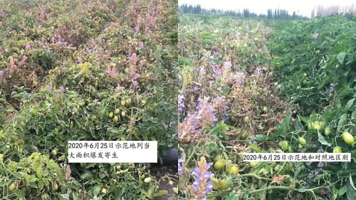 2020091015997325044121183.jpg 2020091015997325044121183.jpg