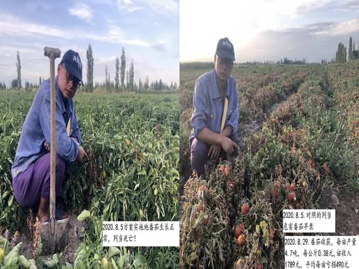 2020091015997326137512937.jpg 2020091015997326137512937.jpg