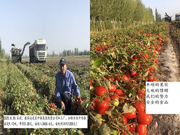 2020091015997325745334623.jpg 2020091015997325745334623.jpg