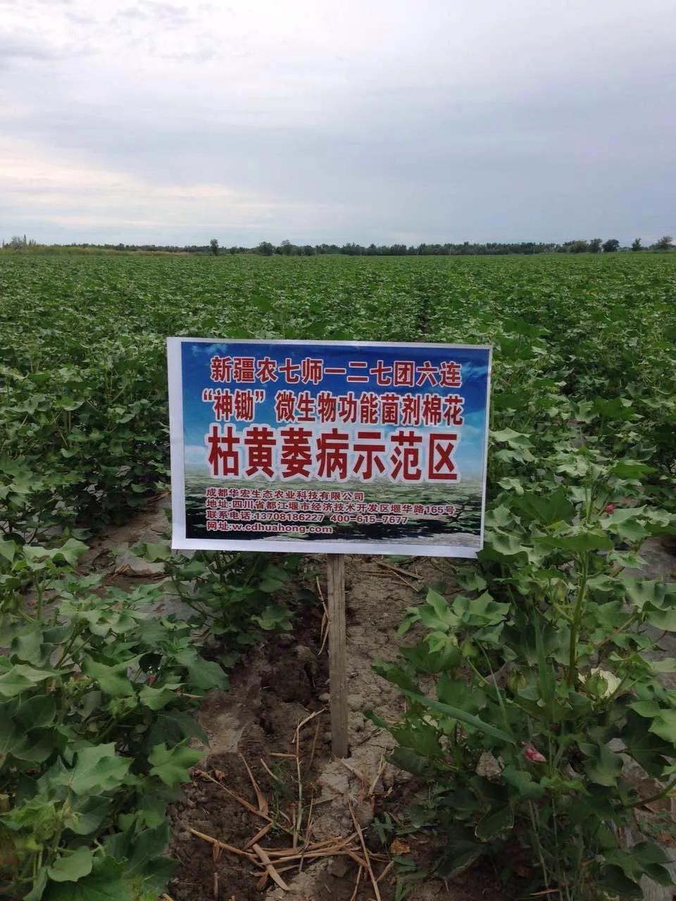 微信圖片_20210114183035.jpg 微信圖片_20210114183035.jpg