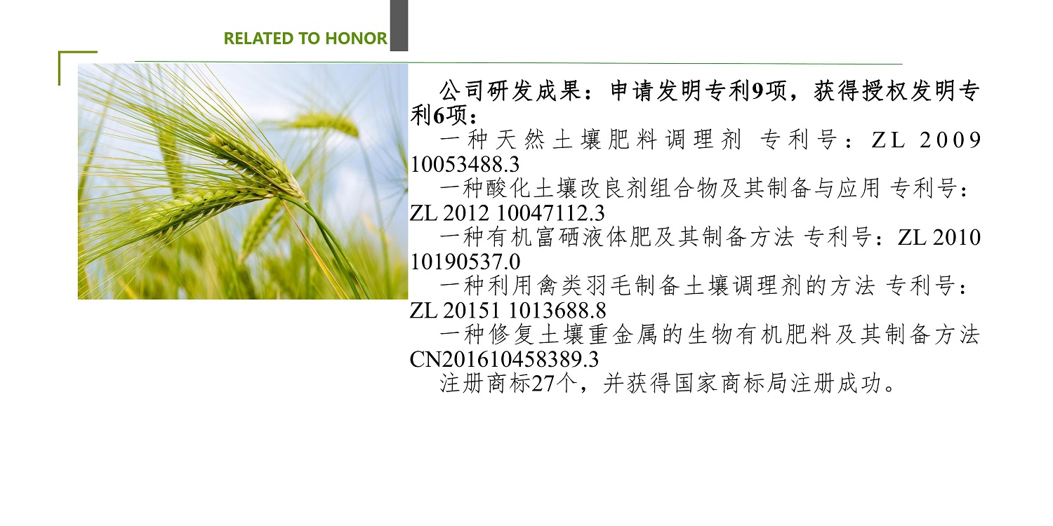 一種修復(fù)土壤重金屬的生物有機(jī)肥料及其制備方法--成都華宏曹剛整理的資料2021.12.7.0025.jpg 一種修復(fù)土壤重金屬的生物有機(jī)肥料及其制備方法--成都華宏曹剛整理的資料2021.12.7.0025.jpg