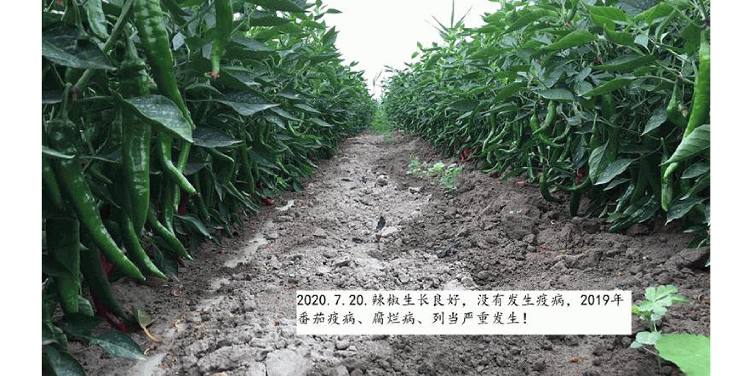 一種修復(fù)土壤重金屬的生物有機(jī)肥料及其制備方法--成都華宏曹剛整理的資料2021.12.7.0045.jpg 一種修復(fù)土壤重金屬的生物有機(jī)肥料及其制備方法--成都華宏曹剛整理的資料2021.12.7.0045.jpg