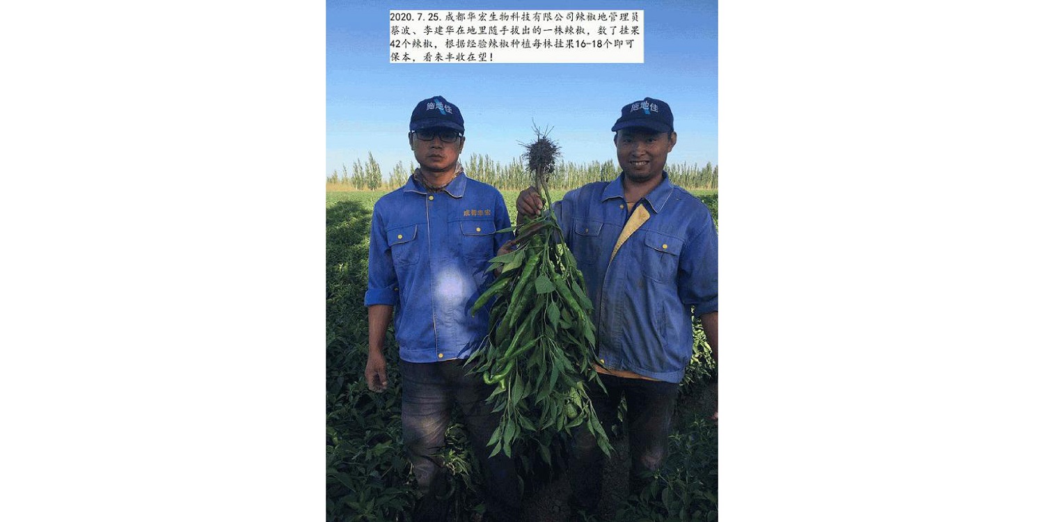 一種修復(fù)土壤重金屬的生物有機(jī)肥料及其制備方法--成都華宏曹剛整理的資料2021.12.7.0046.jpg 一種修復(fù)土壤重金屬的生物有機(jī)肥料及其制備方法--成都華宏曹剛整理的資料2021.12.7.0046.jpg