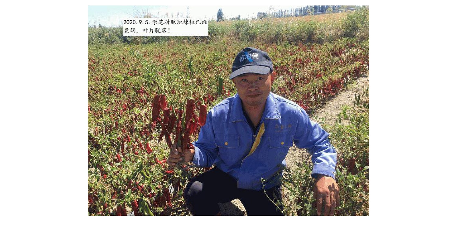 一種修復(fù)土壤重金屬的生物有機(jī)肥料及其制備方法--成都華宏曹剛整理的資料2021.12.7.0047.jpg 一種修復(fù)土壤重金屬的生物有機(jī)肥料及其制備方法--成都華宏曹剛整理的資料2021.12.7.0047.jpg