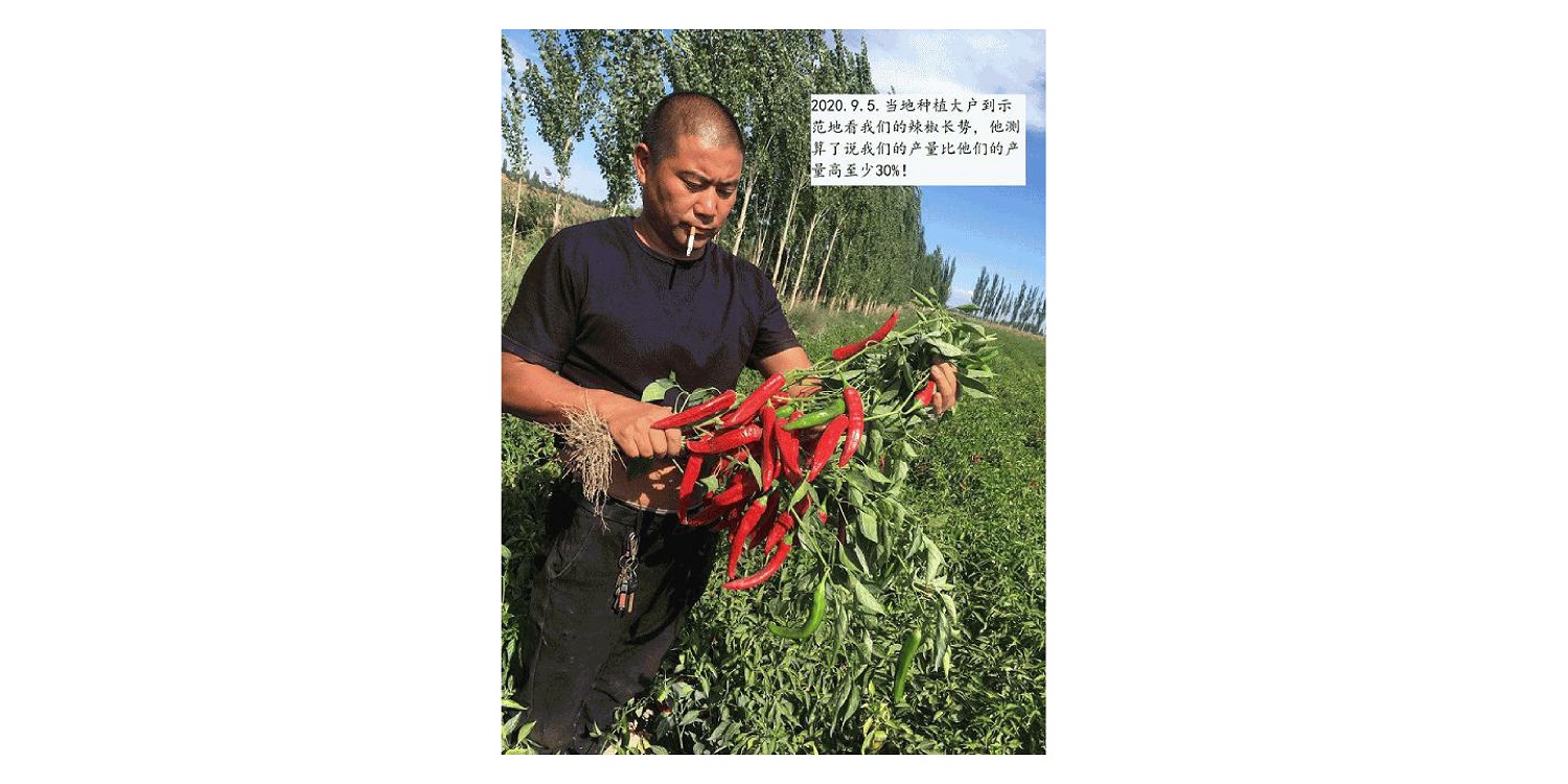 一種修復(fù)土壤重金屬的生物有機(jī)肥料及其制備方法--成都華宏曹剛整理的資料2021.12.7.0048.jpg 一種修復(fù)土壤重金屬的生物有機(jī)肥料及其制備方法--成都華宏曹剛整理的資料2021.12.7.0048.jpg