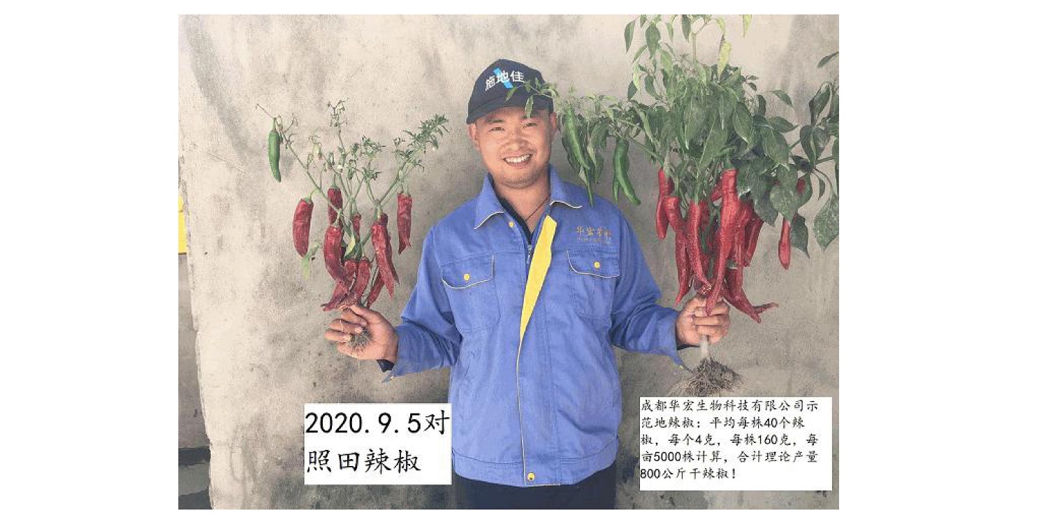 一種修復(fù)土壤重金屬的生物有機(jī)肥料及其制備方法--成都華宏曹剛整理的資料2021.12.7.0049.jpg 一種修復(fù)土壤重金屬的生物有機(jī)肥料及其制備方法--成都華宏曹剛整理的資料2021.12.7.0049.jpg