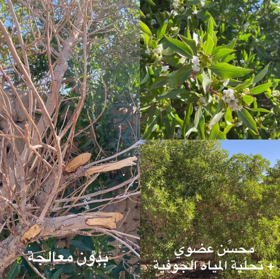 微信圖片_20220316172126.jpg 微信圖片_20220316172126.jpg