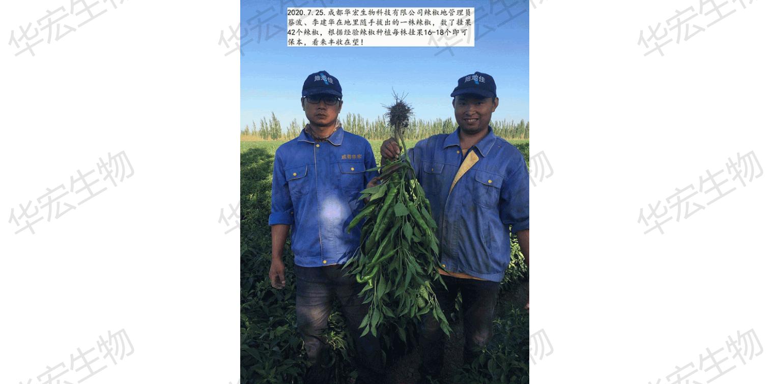 一種飼料一體化生產(chǎn)裝置_44.jpg 一種飼料一體化生產(chǎn)裝置_44.jpg