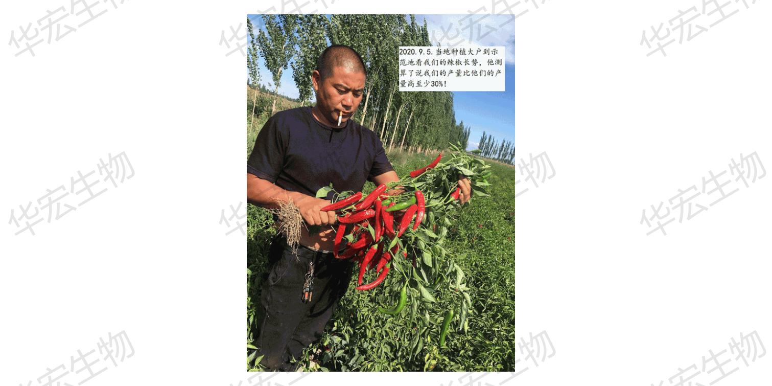 一種飼料一體化生產(chǎn)裝置_46.jpg 一種飼料一體化生產(chǎn)裝置_46.jpg