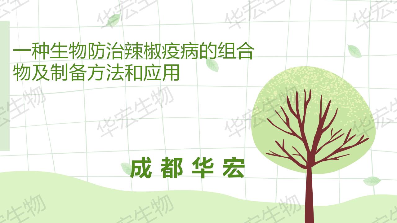 一種生物防治辣椒疫病的組合物及制備方法和應(yīng)用_01.jpg 一種生物防治辣椒疫病的組合物及制備方法和應(yīng)用_01.jpg