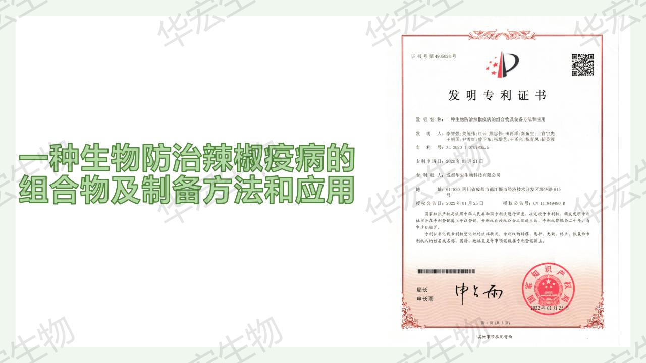 一種生物防治辣椒疫病的組合物及制備方法和應(yīng)用_02.jpg 一種生物防治辣椒疫病的組合物及制備方法和應(yīng)用_02.jpg