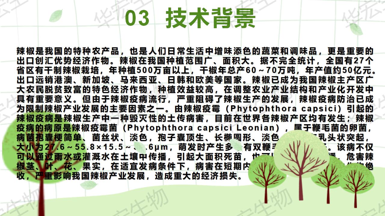 一種生物防治辣椒疫病的組合物及制備方法和應(yīng)用_10.jpg 一種生物防治辣椒疫病的組合物及制備方法和應(yīng)用_10.jpg