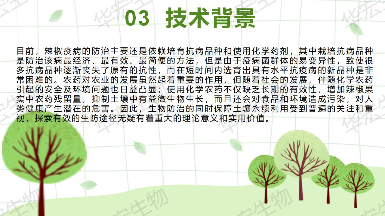 一種生物防治辣椒疫病的組合物及制備方法和應(yīng)用_11.jpg 一種生物防治辣椒疫病的組合物及制備方法和應(yīng)用_11.jpg