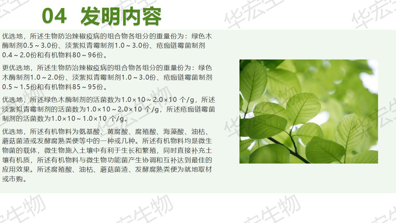 一種生物防治辣椒疫病的組合物及制備方法和應(yīng)用_15.jpg 一種生物防治辣椒疫病的組合物及制備方法和應(yīng)用_15.jpg