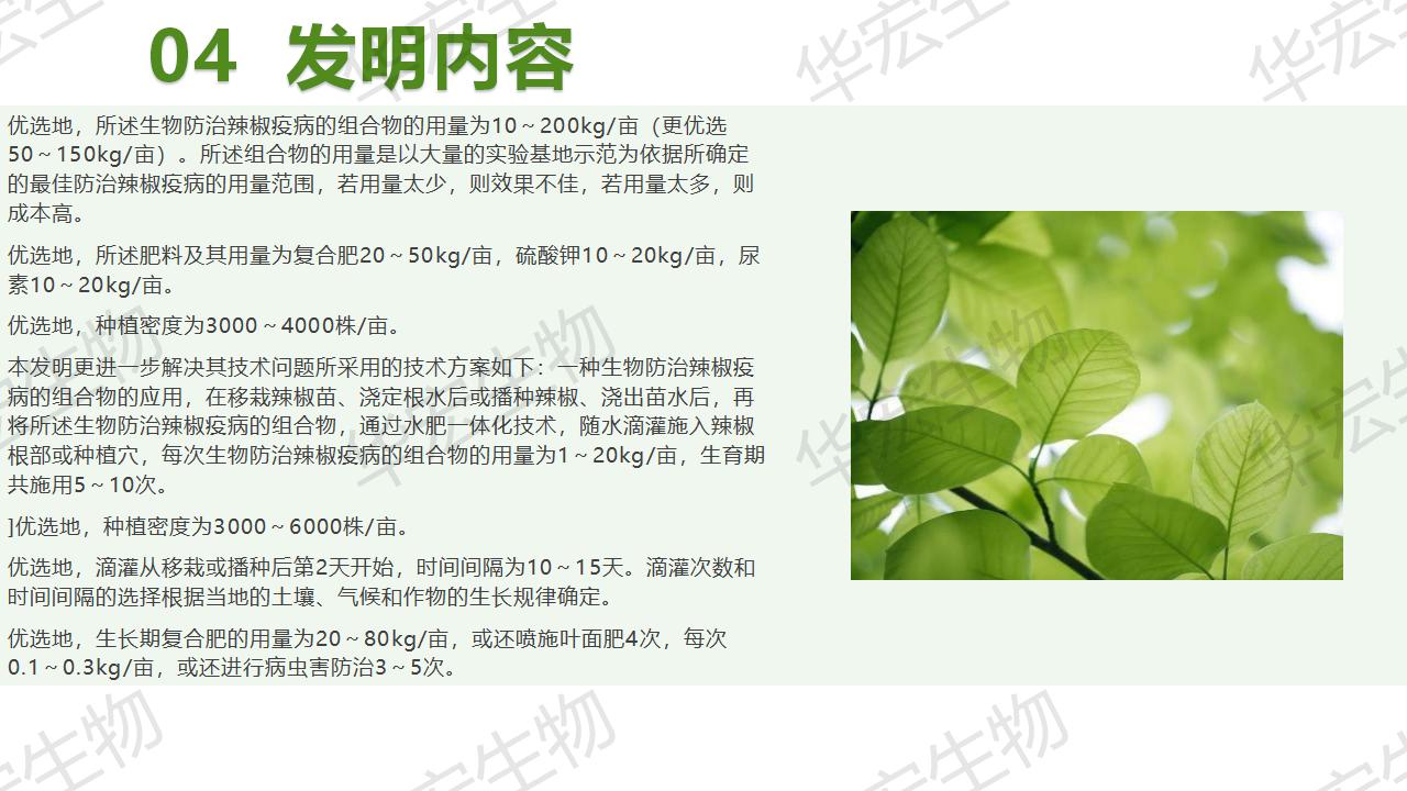 一種生物防治辣椒疫病的組合物及制備方法和應(yīng)用_18.jpg 一種生物防治辣椒疫病的組合物及制備方法和應(yīng)用_18.jpg