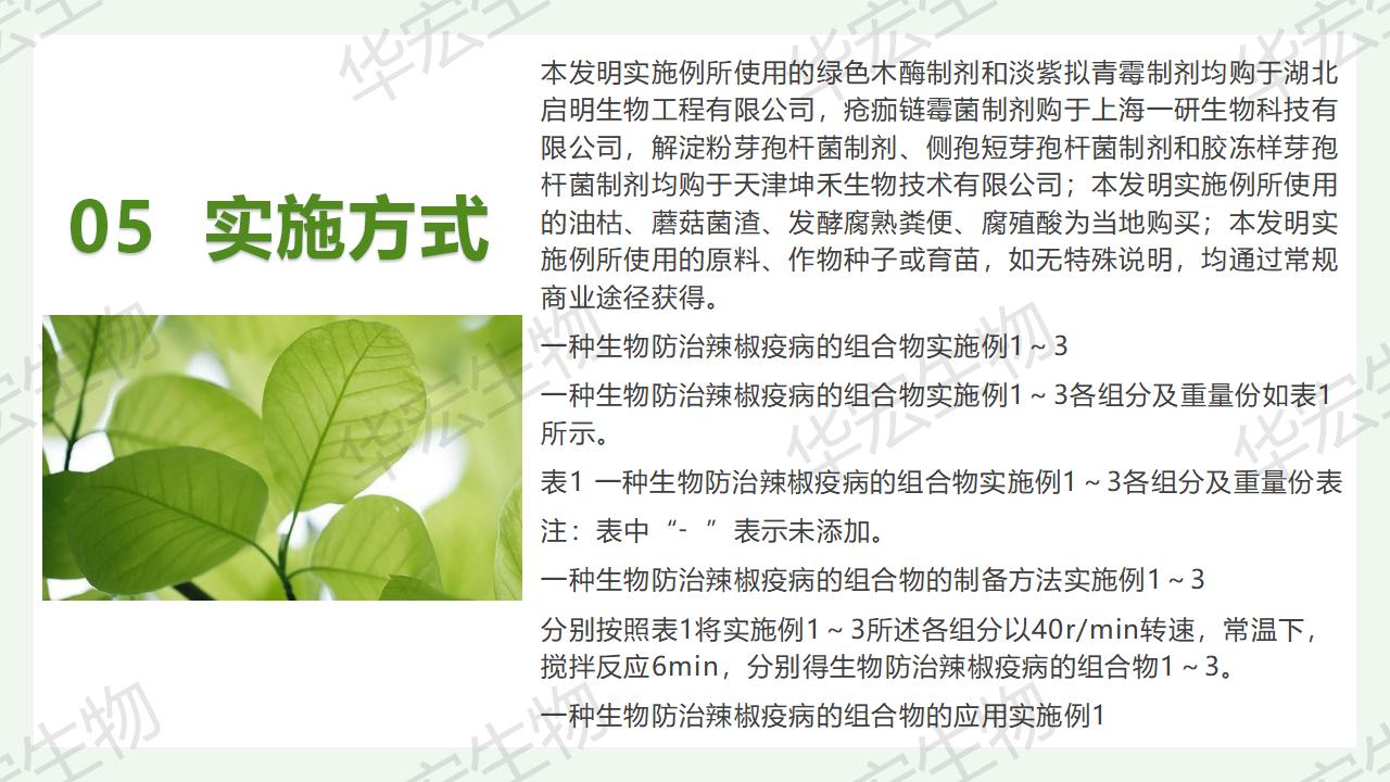 一種生物防治辣椒疫病的組合物及制備方法和應(yīng)用_20.jpg 一種生物防治辣椒疫病的組合物及制備方法和應(yīng)用_20.jpg