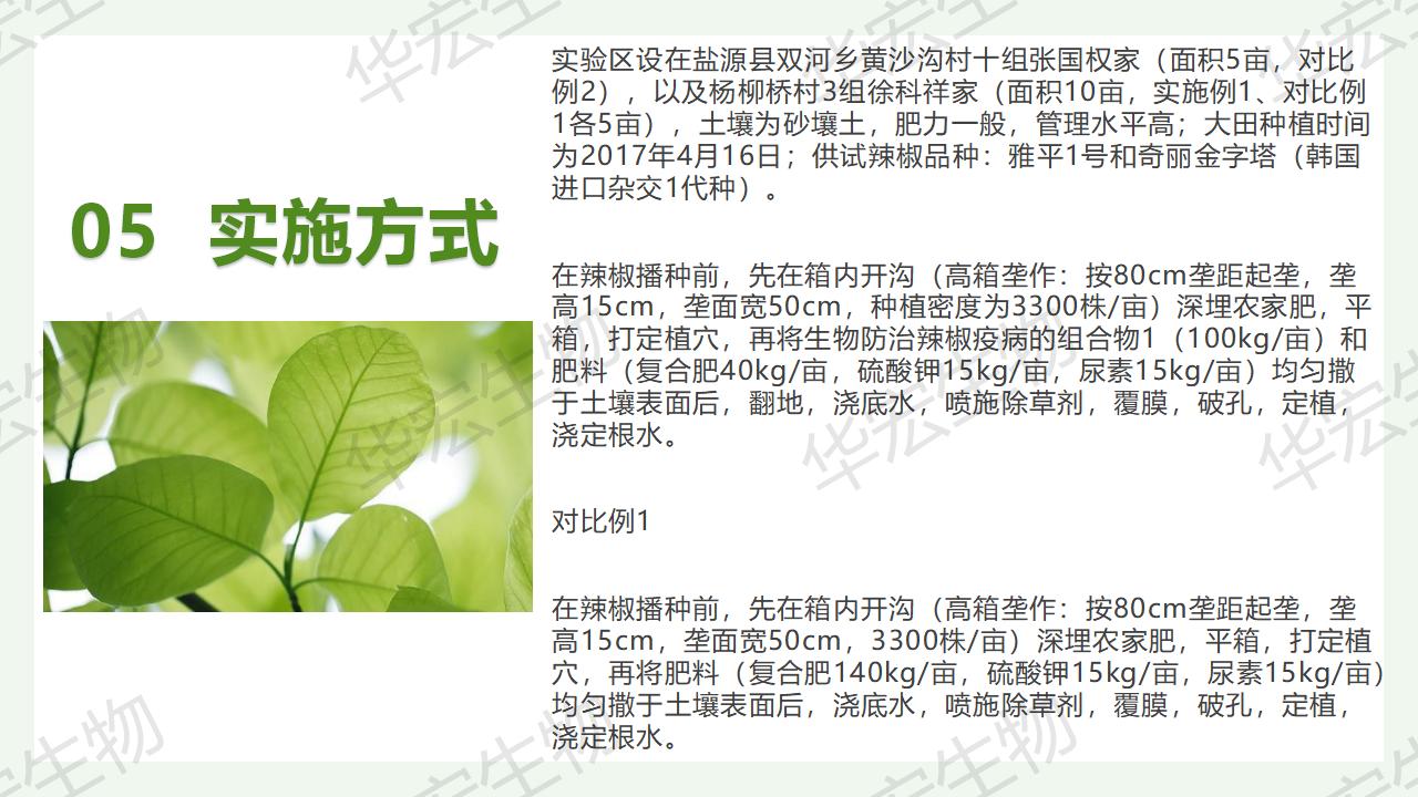 一種生物防治辣椒疫病的組合物及制備方法和應(yīng)用_21.jpg 一種生物防治辣椒疫病的組合物及制備方法和應(yīng)用_21.jpg