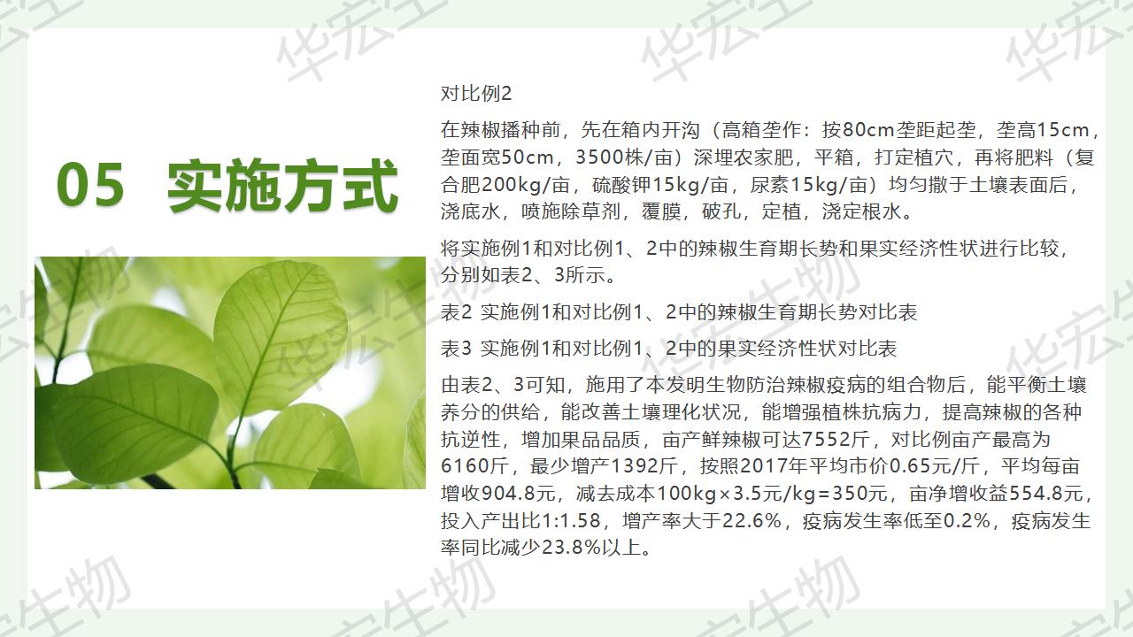 一種生物防治辣椒疫病的組合物及制備方法和應(yīng)用_22.jpg 一種生物防治辣椒疫病的組合物及制備方法和應(yīng)用_22.jpg