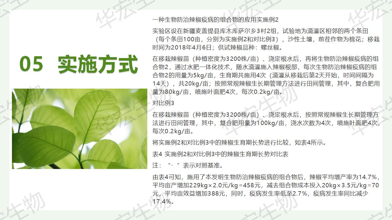 一種生物防治辣椒疫病的組合物及制備方法和應(yīng)用_23.jpg 一種生物防治辣椒疫病的組合物及制備方法和應(yīng)用_23.jpg