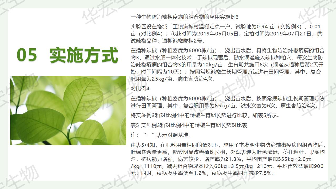 一種生物防治辣椒疫病的組合物及制備方法和應(yīng)用_24.jpg 一種生物防治辣椒疫病的組合物及制備方法和應(yīng)用_24.jpg