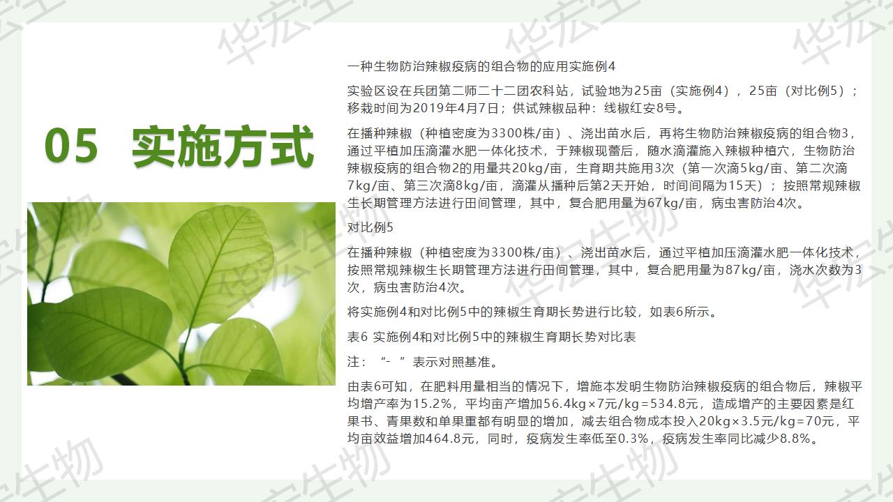 一種生物防治辣椒疫病的組合物及制備方法和應(yīng)用_25.jpg 一種生物防治辣椒疫病的組合物及制備方法和應(yīng)用_25.jpg