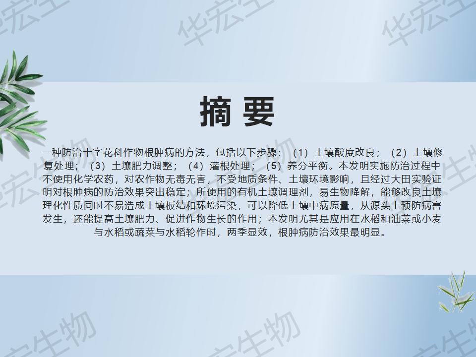 一種防治十字花科作物根腫病的方法_04.jpg 一種防治十字花科作物根腫病的方法_04.jpg