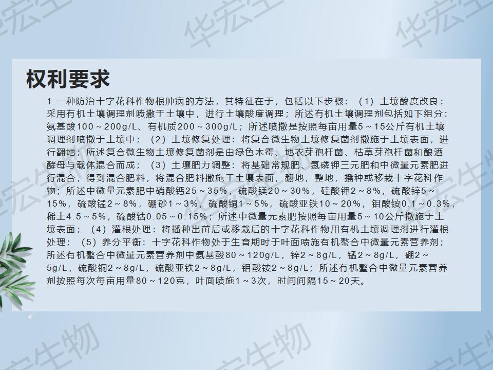 一種防治十字花科作物根腫病的方法_06.jpg 一種防治十字花科作物根腫病的方法_06.jpg
