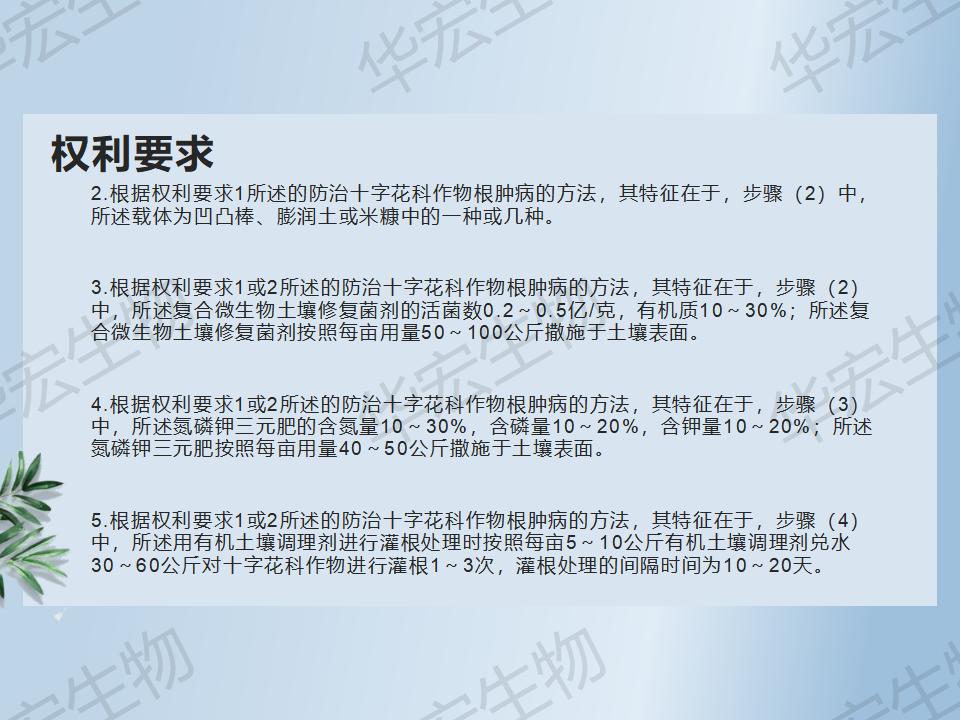 一種防治十字花科作物根腫病的方法_07.jpg 一種防治十字花科作物根腫病的方法_07.jpg
