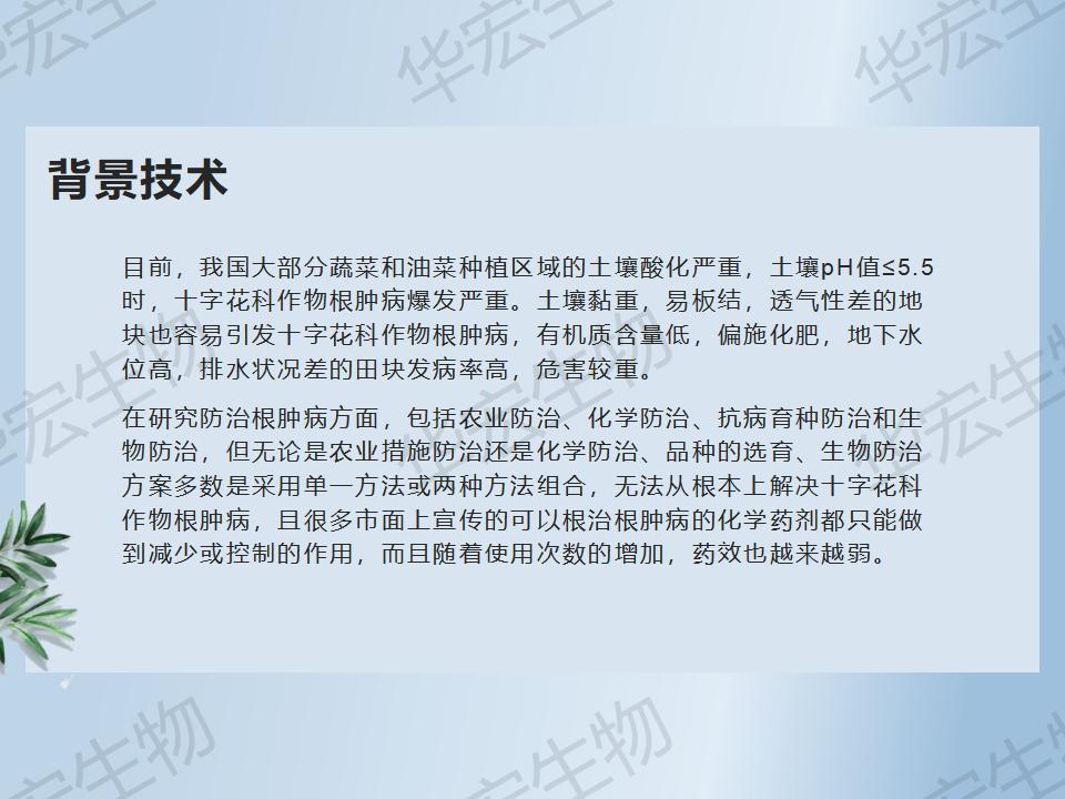 一種防治十字花科作物根腫病的方法_10.jpg 一種防治十字花科作物根腫病的方法_10.jpg