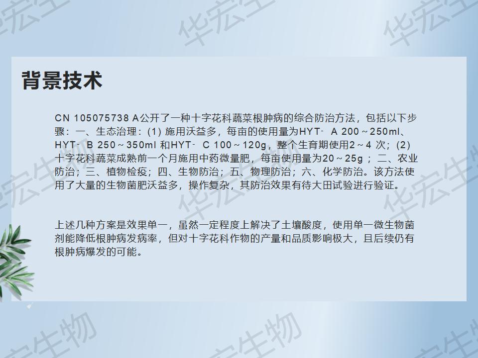 一種防治十字花科作物根腫病的方法_13.jpg 一種防治十字花科作物根腫病的方法_13.jpg
