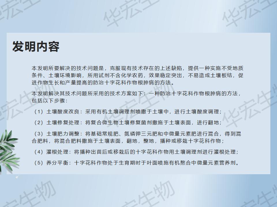 一種防治十字花科作物根腫病的方法_15.jpg 一種防治十字花科作物根腫病的方法_15.jpg