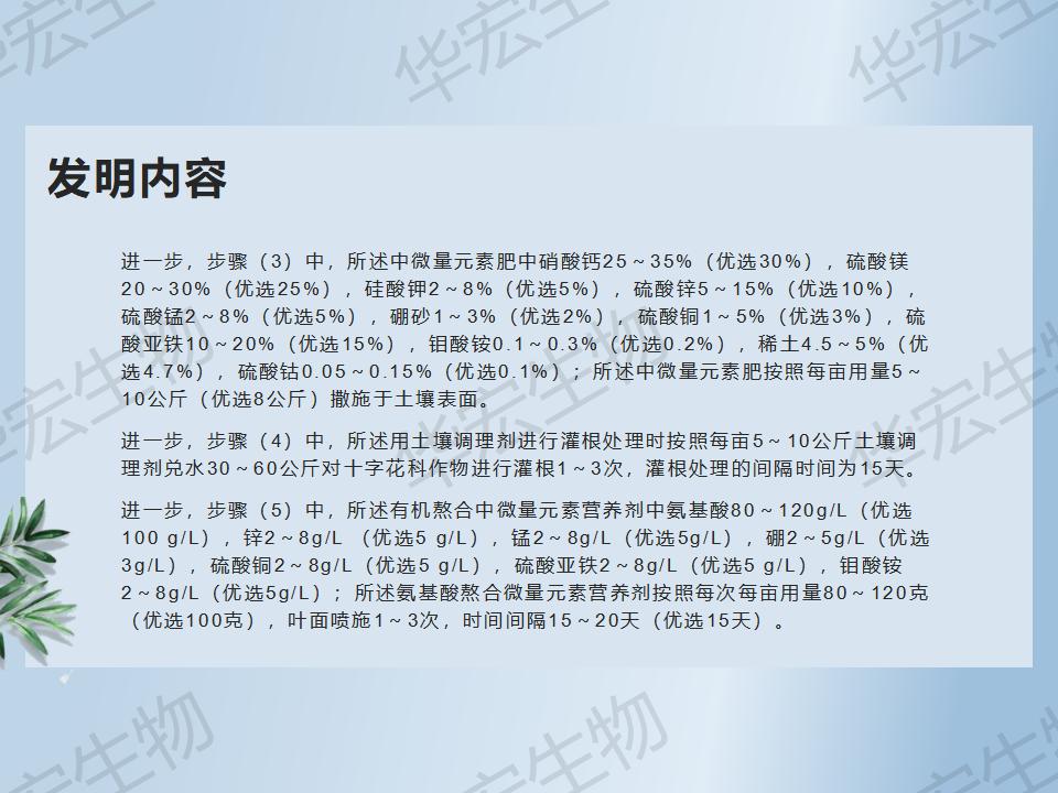 一種防治十字花科作物根腫病的方法_17.jpg 一種防治十字花科作物根腫病的方法_17.jpg