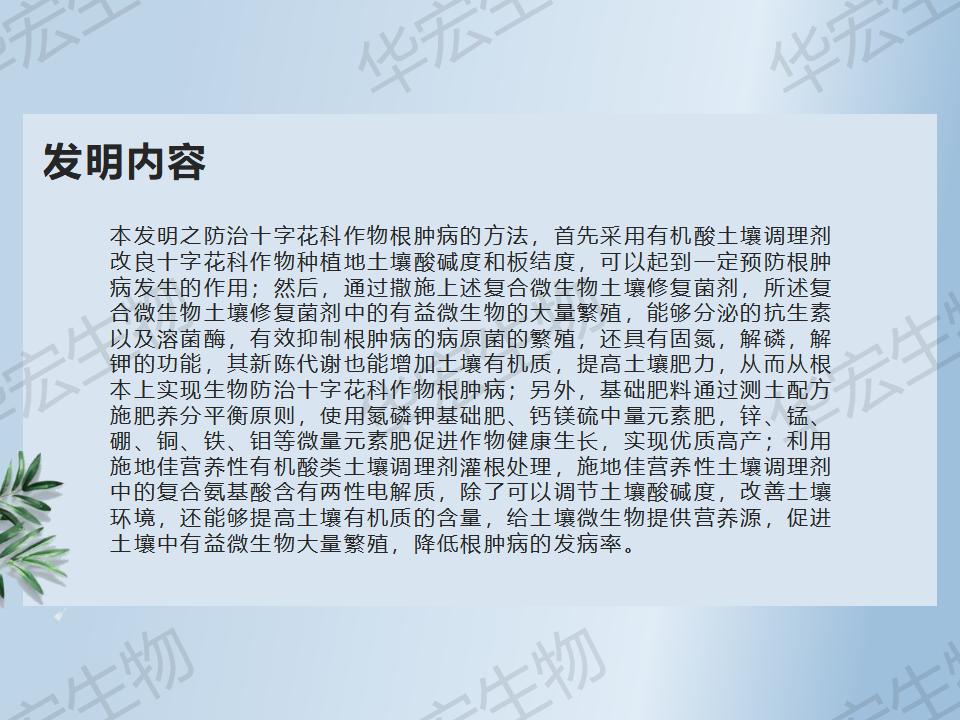 一種防治十字花科作物根腫病的方法_18.jpg 一種防治十字花科作物根腫病的方法_18.jpg