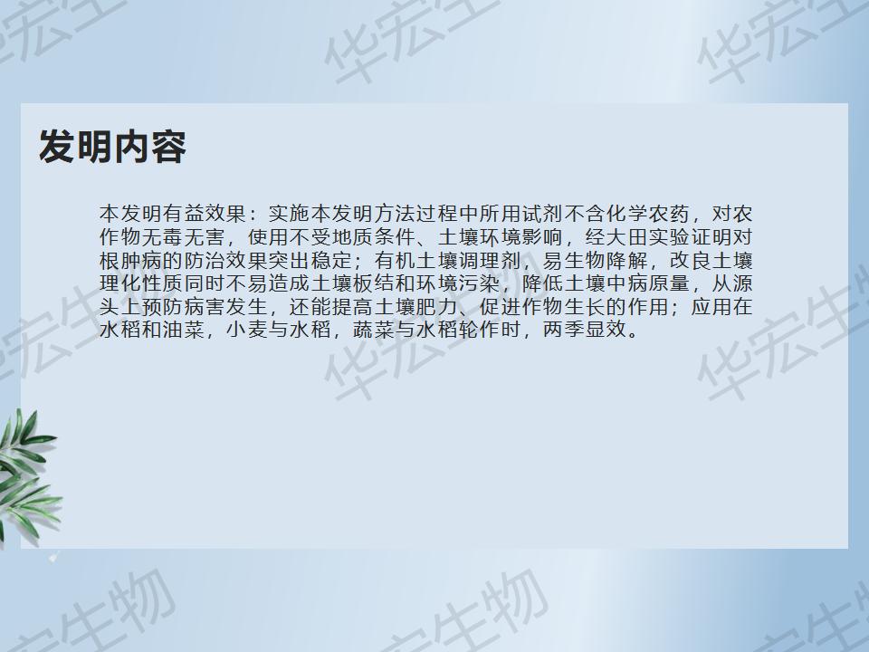 一種防治十字花科作物根腫病的方法_19.jpg 一種防治十字花科作物根腫病的方法_19.jpg