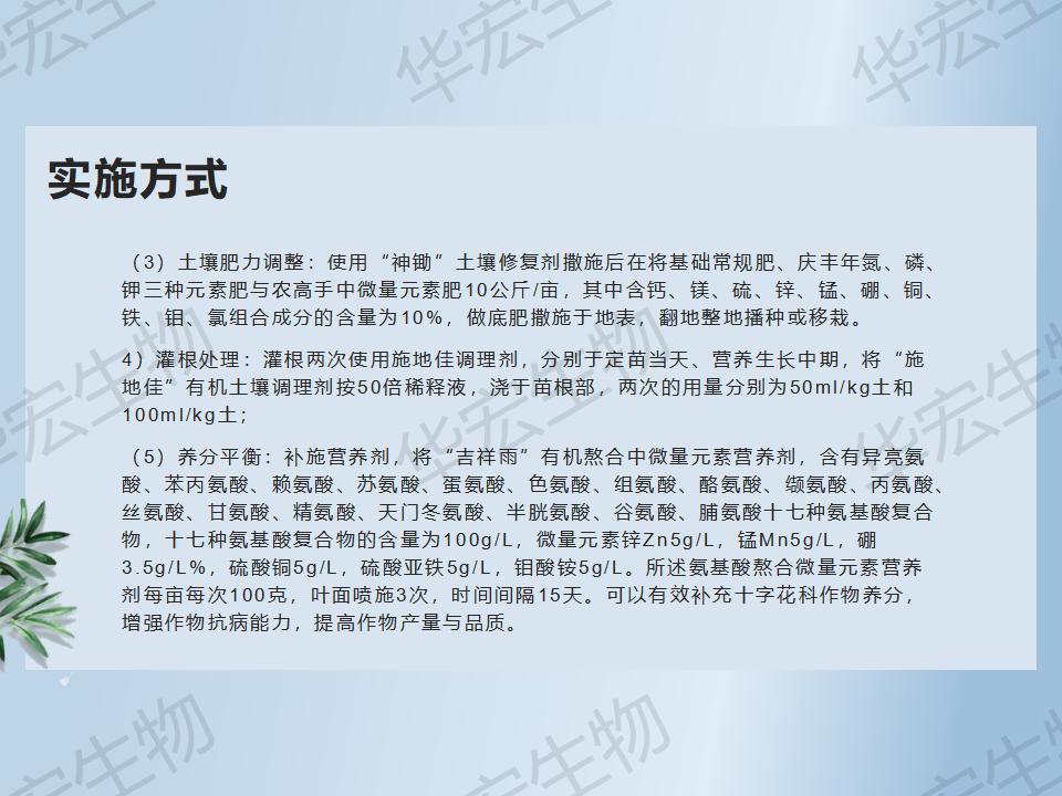 一種防治十字花科作物根腫病的方法_22.jpg 一種防治十字花科作物根腫病的方法_22.jpg