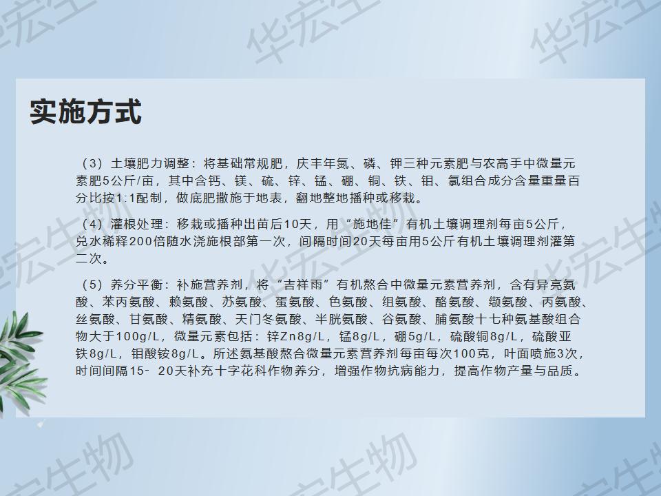 一種防治十字花科作物根腫病的方法_28.jpg 一種防治十字花科作物根腫病的方法_28.jpg