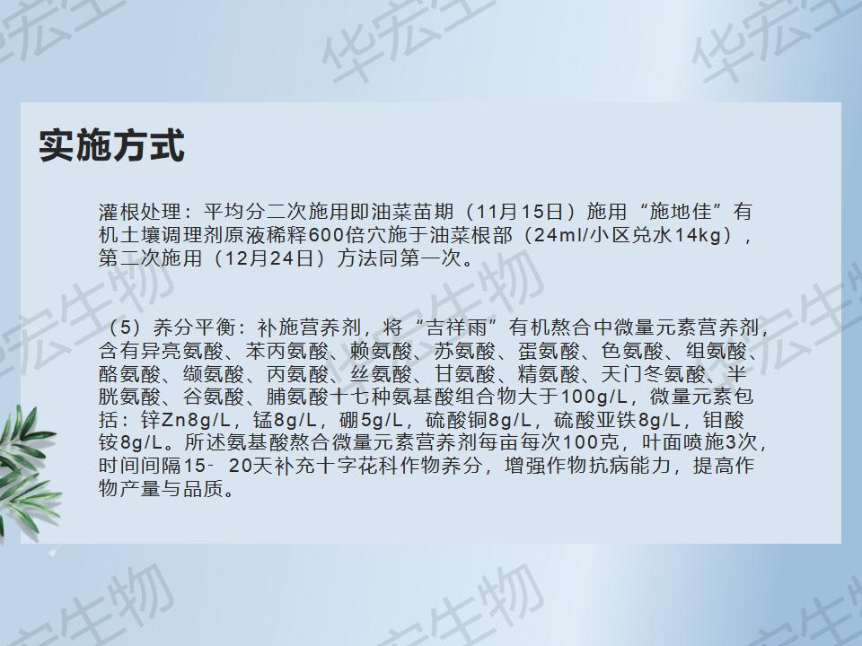 一種防治十字花科作物根腫病的方法_32.jpg 一種防治十字花科作物根腫病的方法_32.jpg
