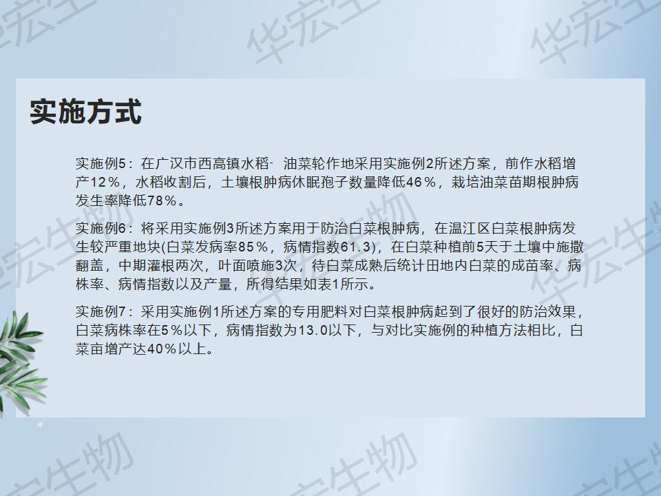 一種防治十字花科作物根腫病的方法_38.jpg 一種防治十字花科作物根腫病的方法_38.jpg
