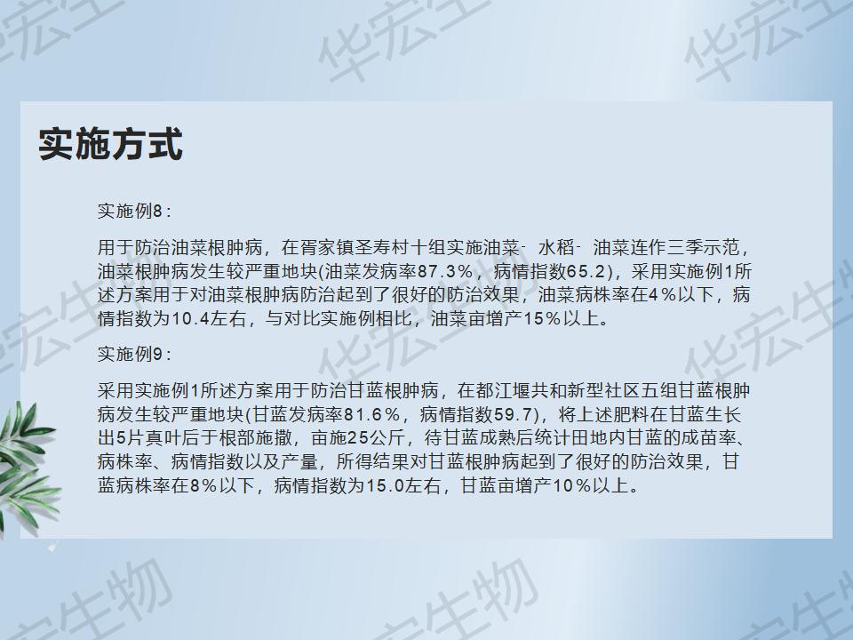 一種防治十字花科作物根腫病的方法_39.jpg 一種防治十字花科作物根腫病的方法_39.jpg