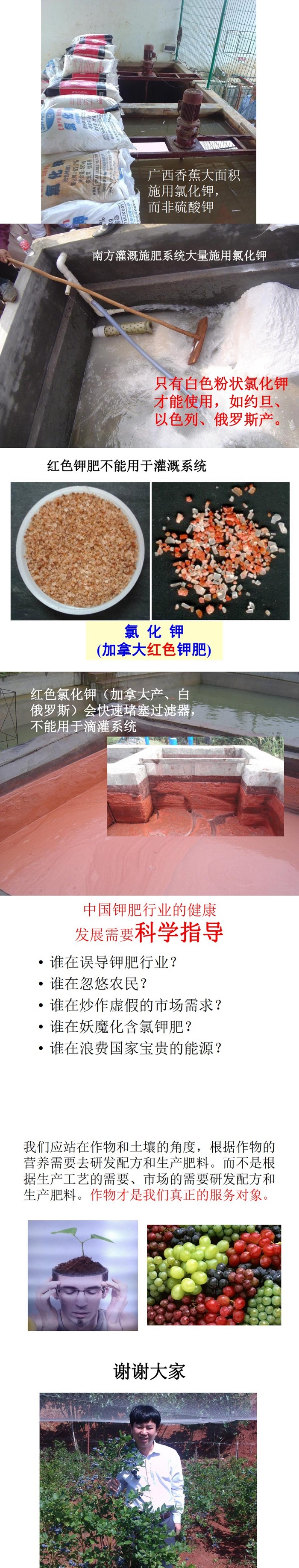 10.jpg 10.jpg