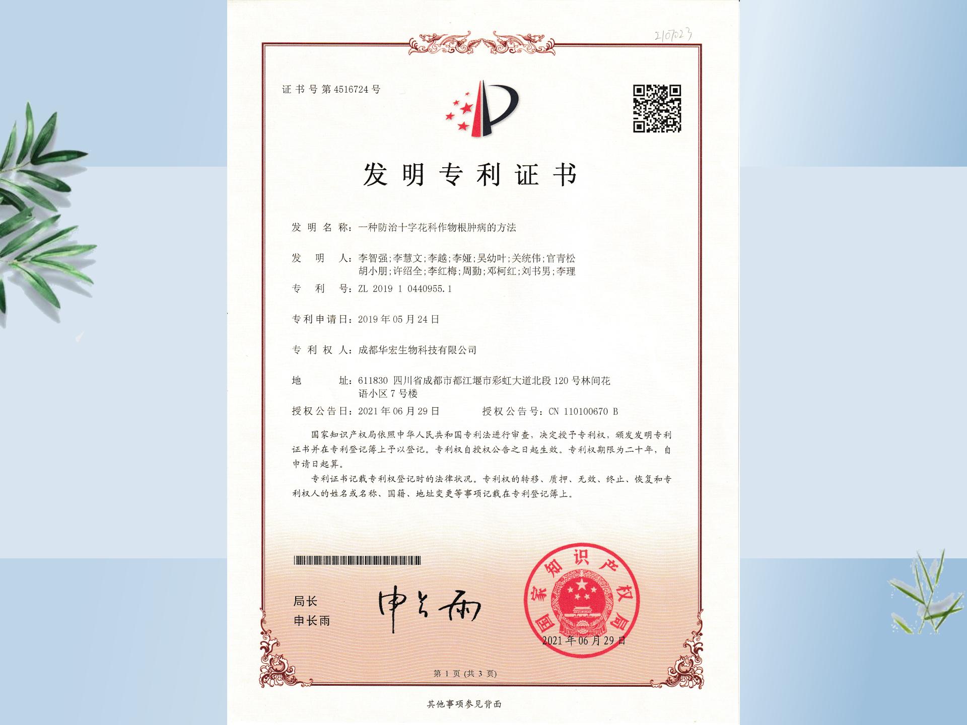 一種防治十字花科作物根腫病的方法_05.jpg 一種防治十字花科作物根腫病的方法_05.jpg