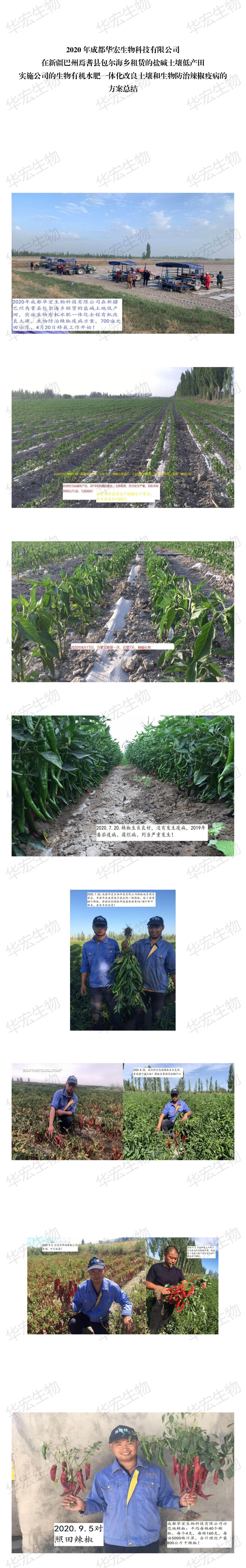 2020年成都華宏生物科技有限公司辣椒種植示范(2)_00.jpg 2020年成都華宏生物科技有限公司辣椒種植示范(2)_00.jpg