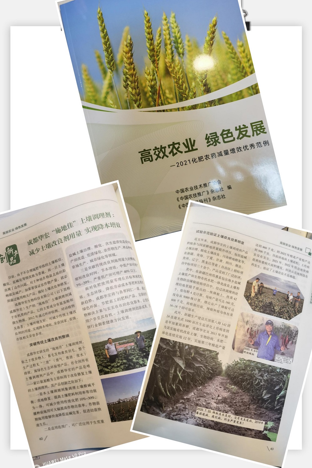 微信圖片_20221113142258.jpg 微信圖片_20221113142258.jpg