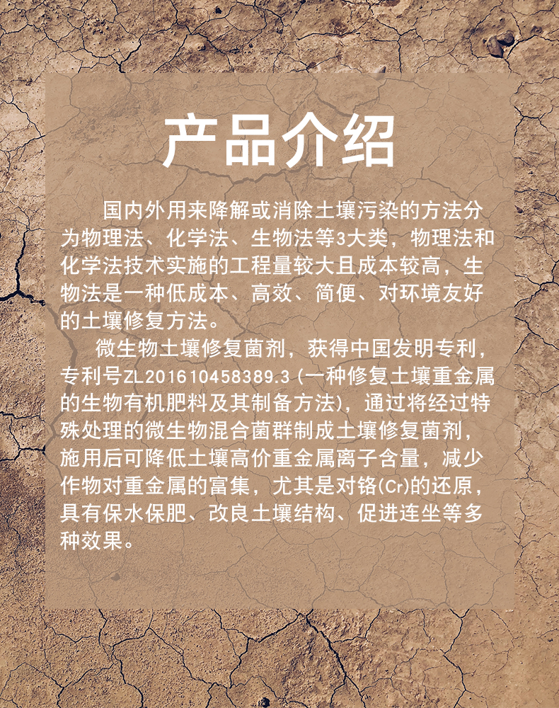 2.jpg 2.jpg