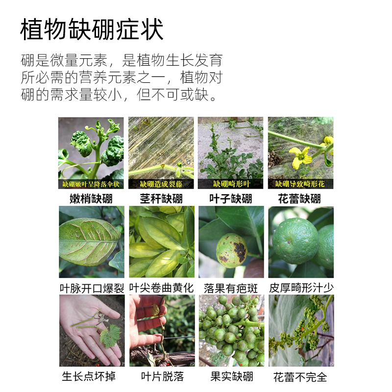 未標(biāo)題-1.png 未標(biāo)題-1.png