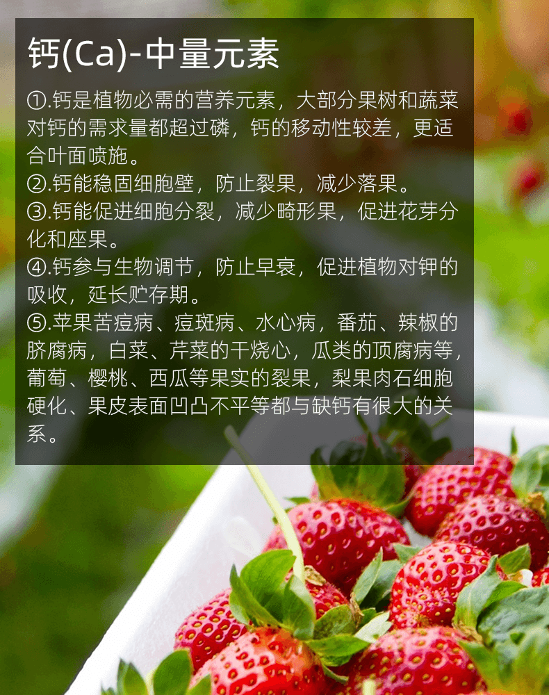 鈣.png 鈣.png